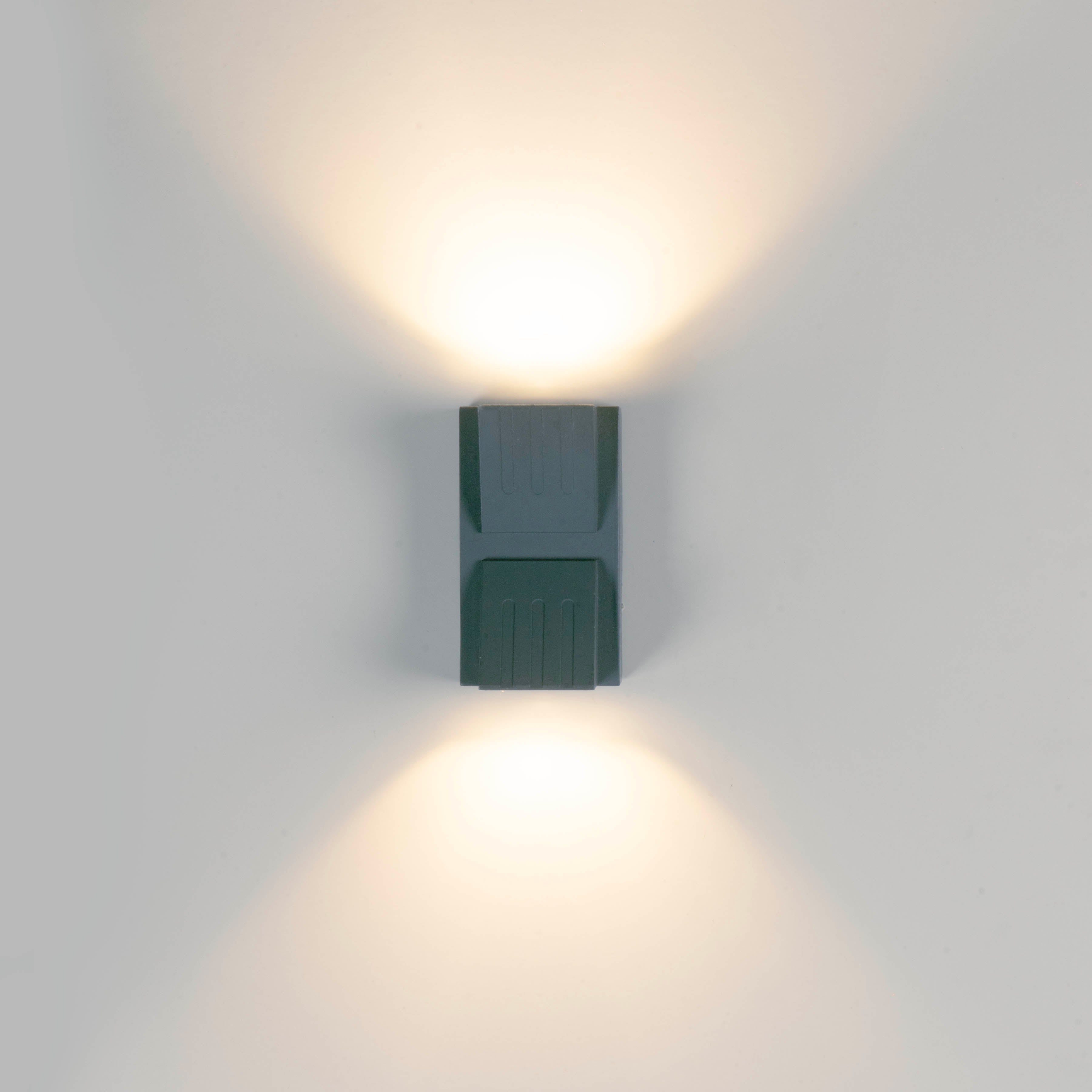 Reina Up Down Elevation LED Lights