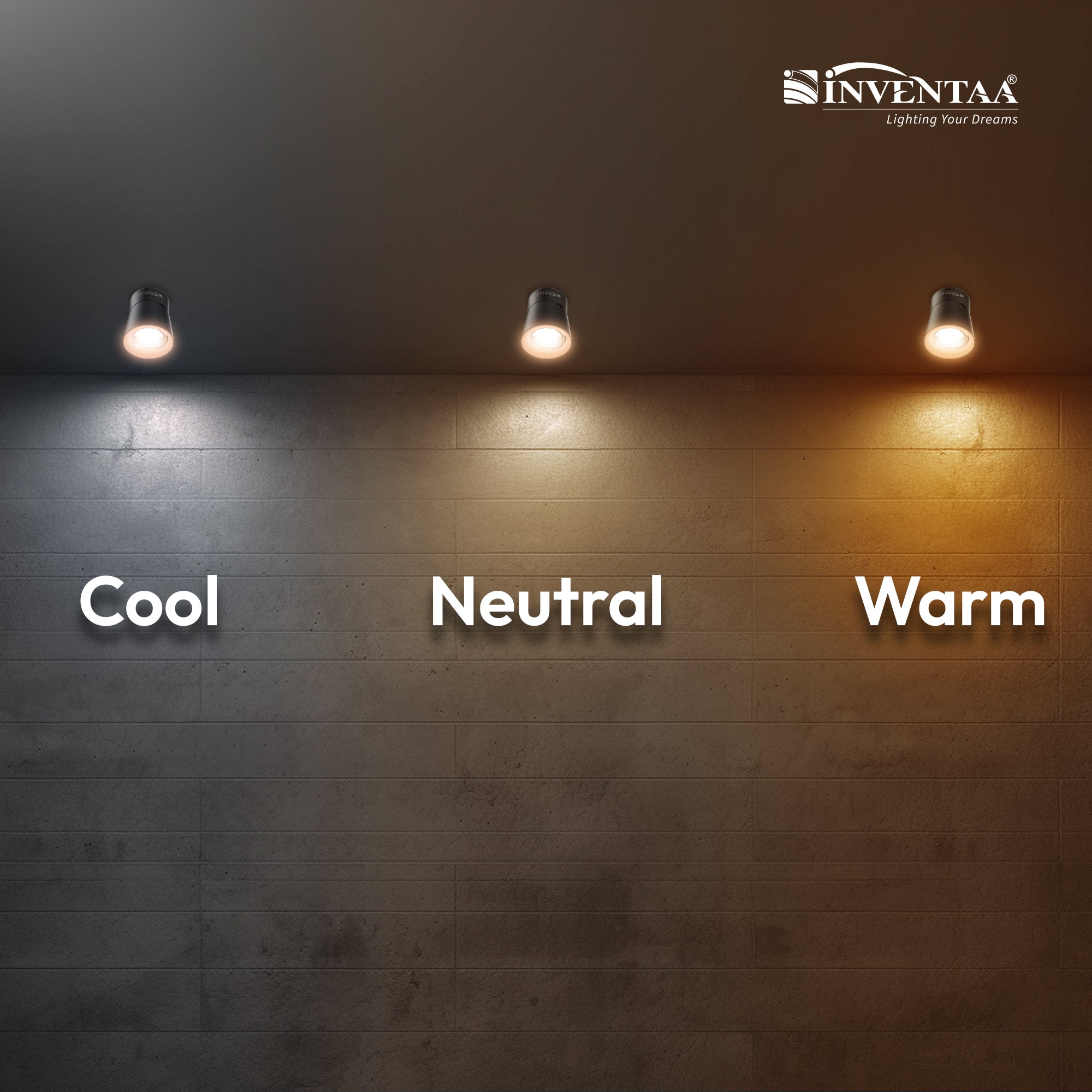 Cool Neutral And Warm Comparison Of Oxana Revolve COB Surface Light