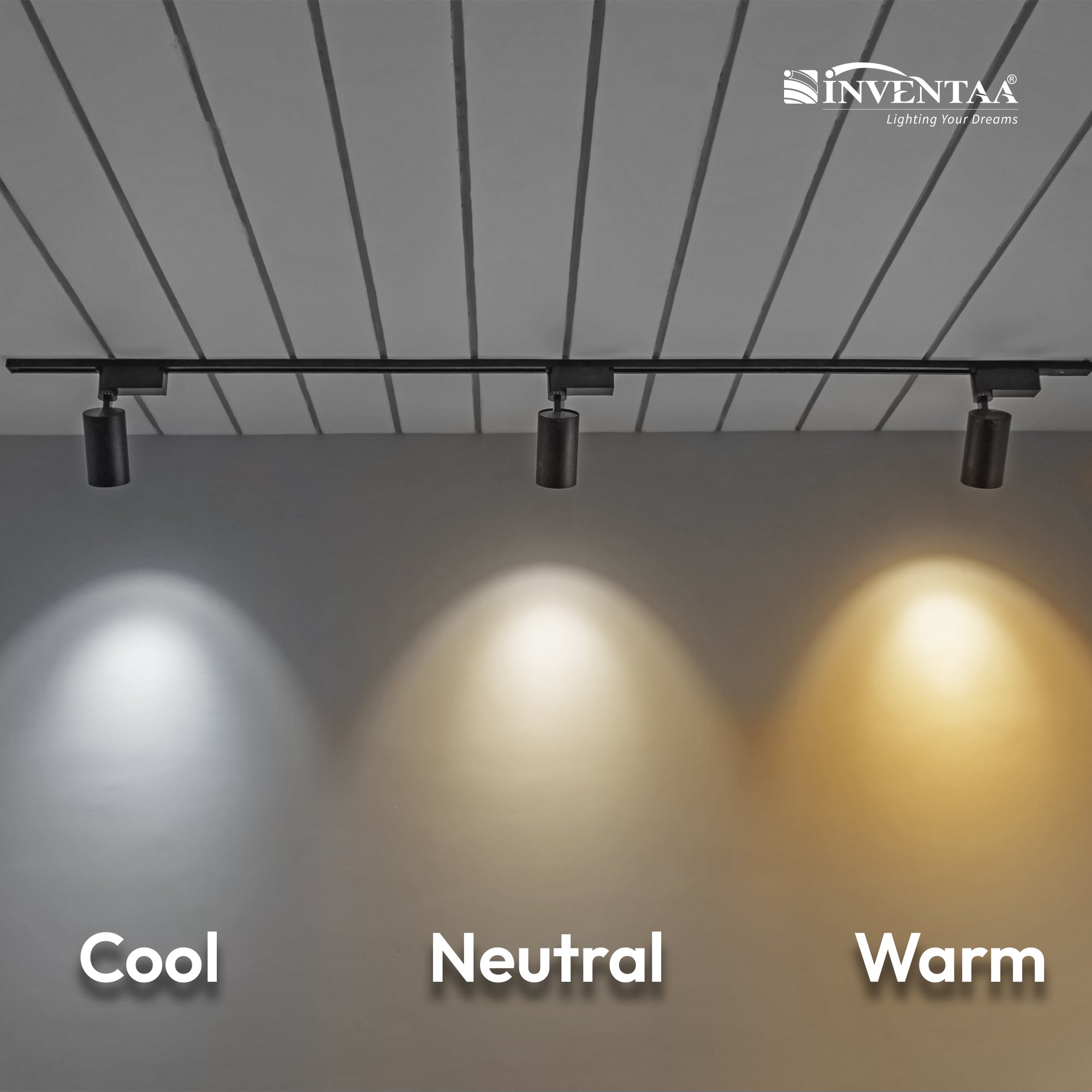 Cool Neutral And Warm Comparison Of Oxana Track COB Track Light