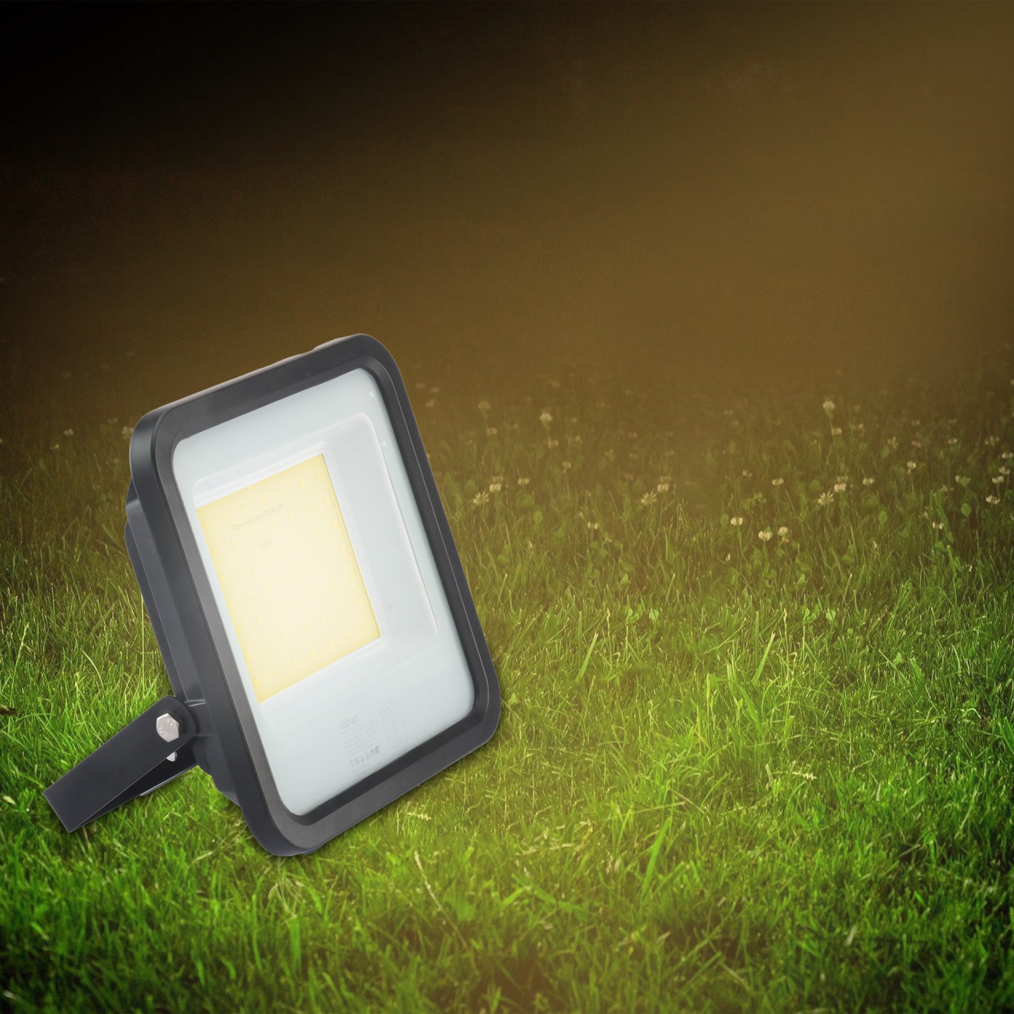 Fabra 100W led focus light emitting warm white glow #watts_100w