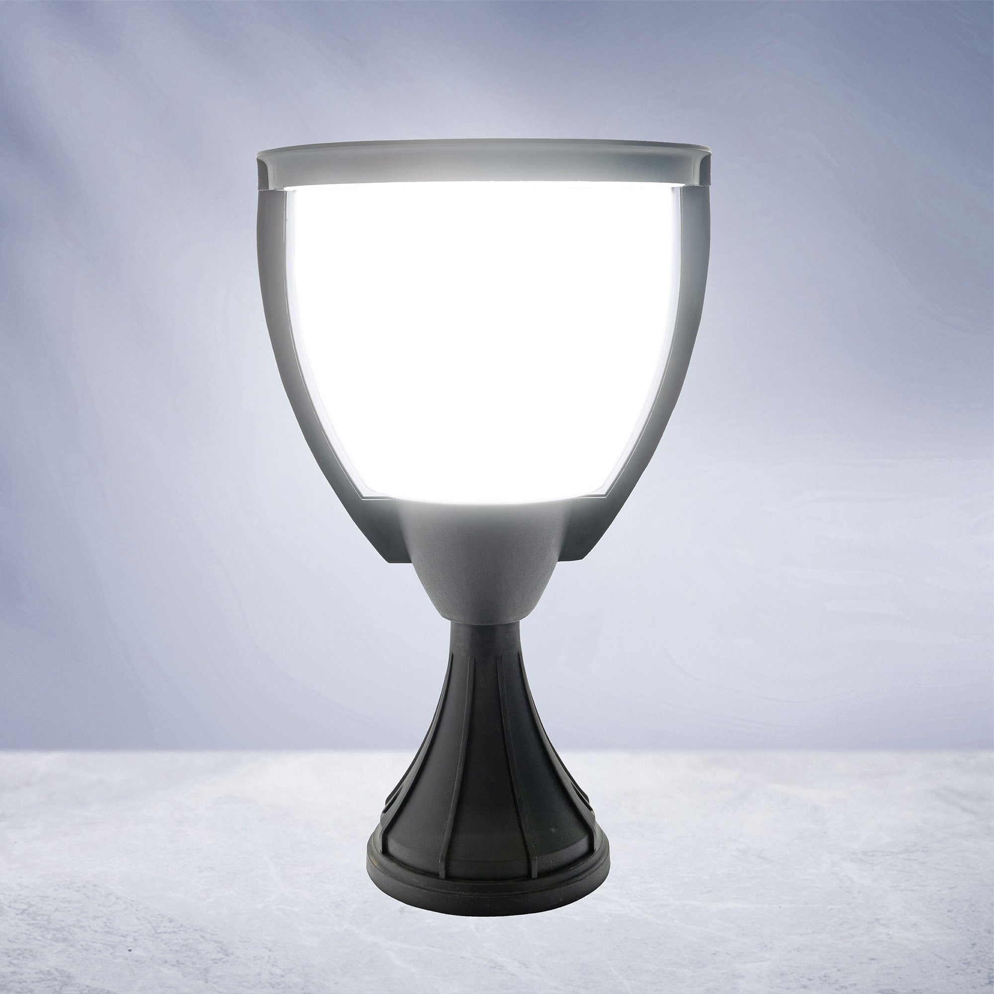 20C-2304B-DN Dusk To Dawn Glenda Glitter LED Gate Light Cool White | #bulb options_cool