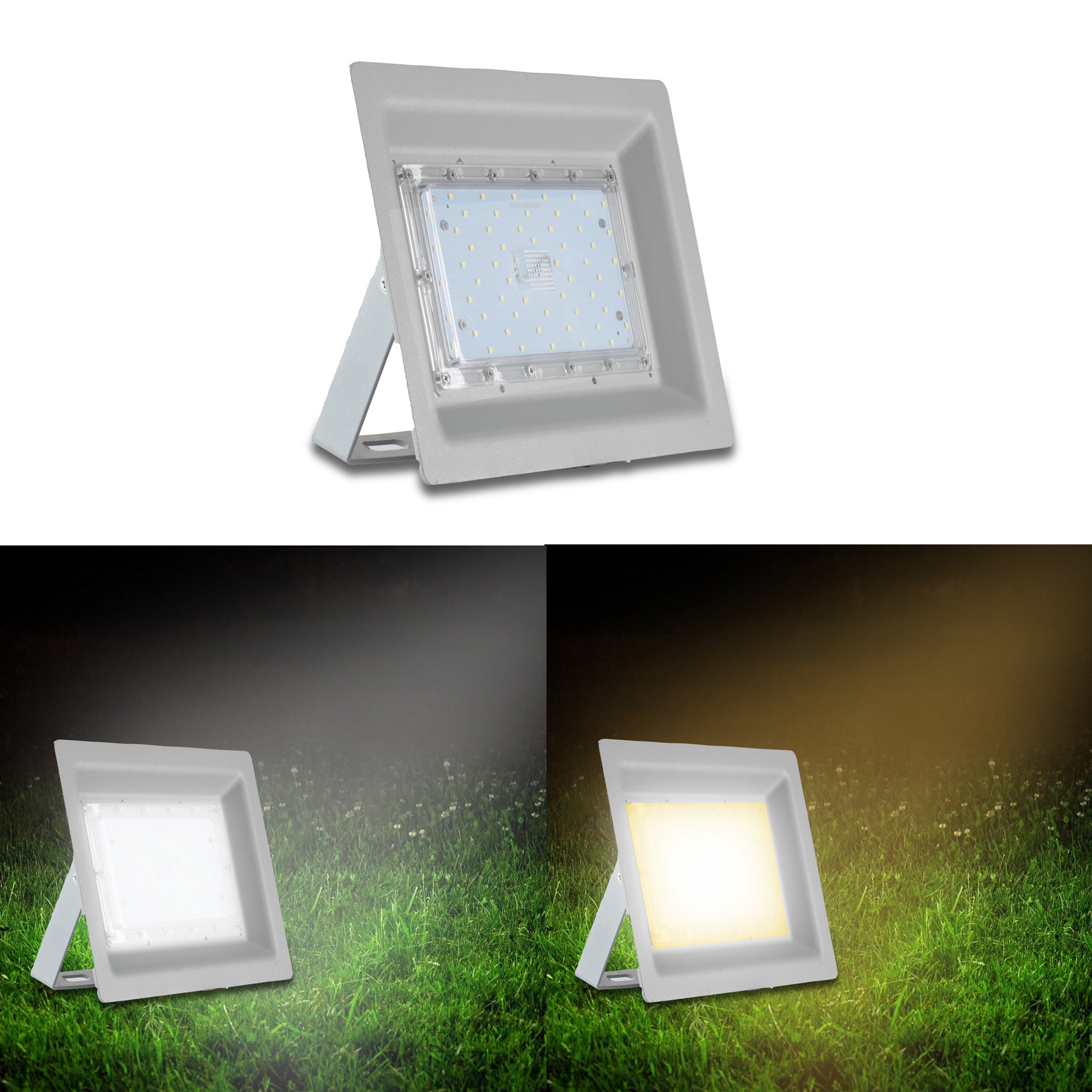 Cool and warm lighting comparison of Zeva 50W led focus light #watts_50w