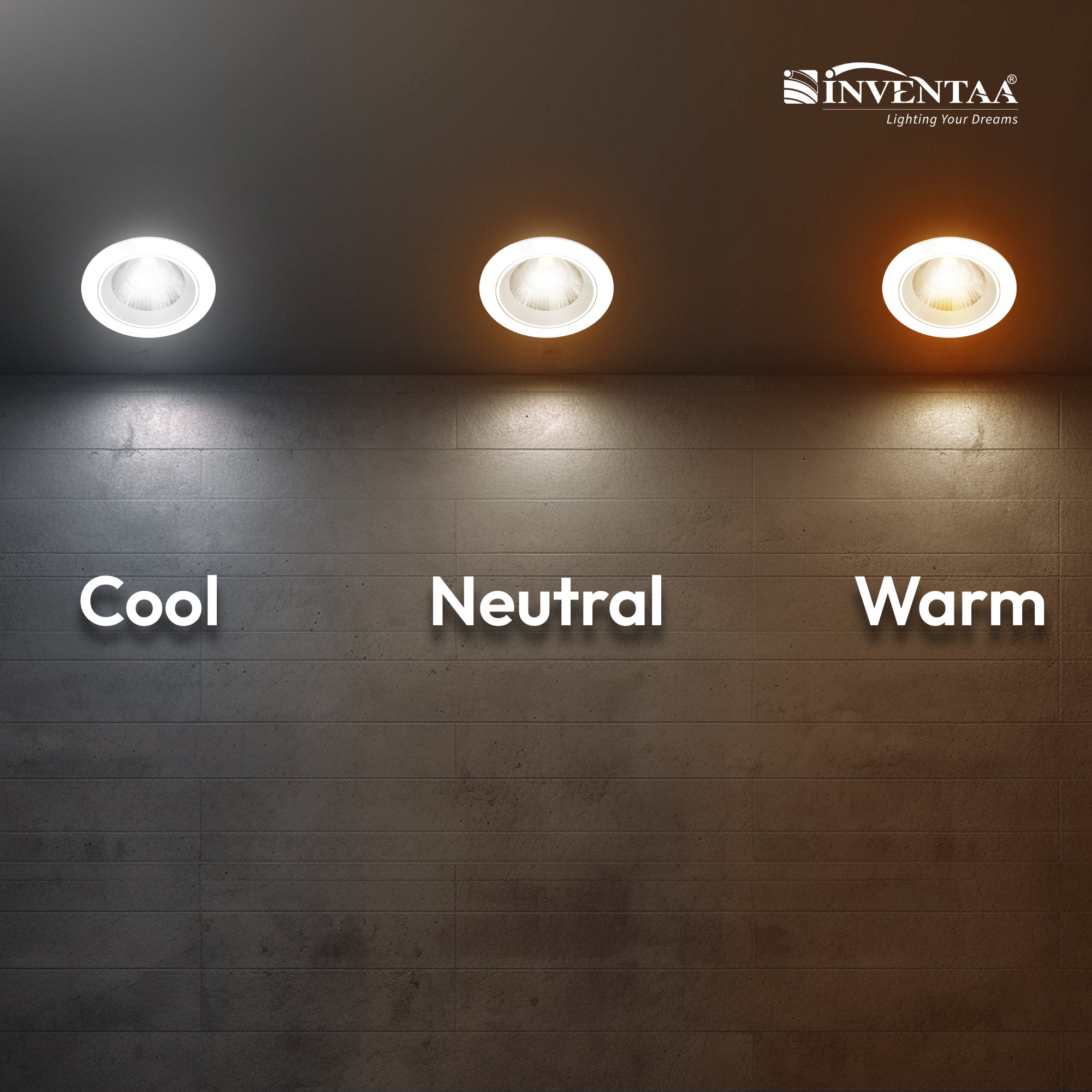 Cool, Netral And Warm Comparison Of Oxana COB Down Light