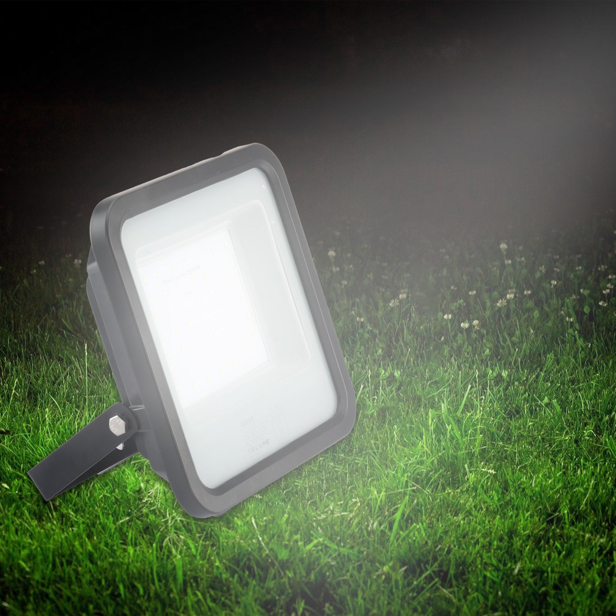 Buy Fabra LED Flood Light For Outdoor Garden And Playground Inventaa