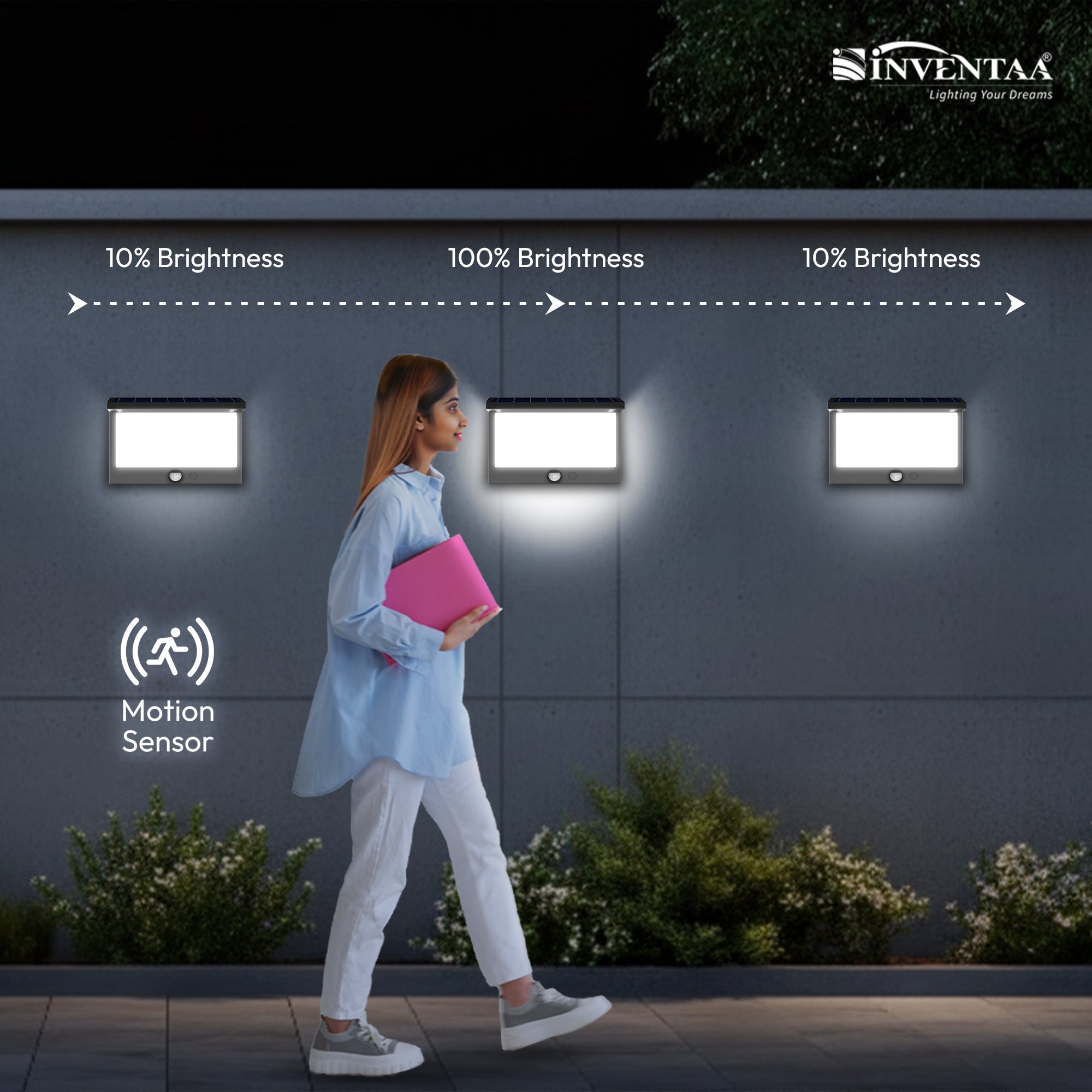 Vita Solar LED Outdoor Wall Light