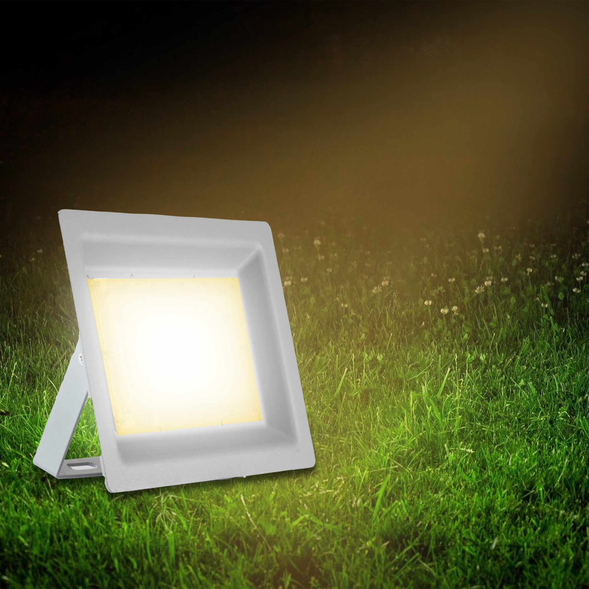 Zeva 50W led flood light emitting warm white glow #watts_50w